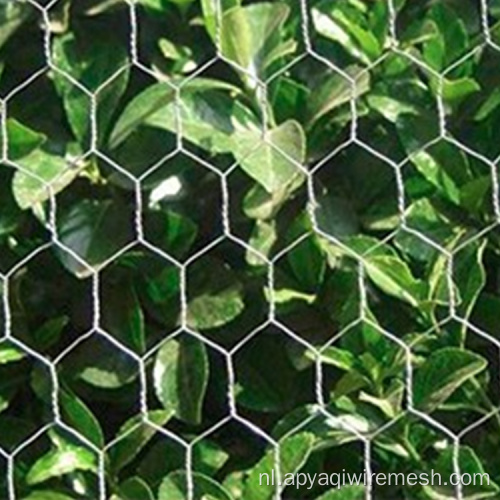 Professionele PVC Fish Cage zeshoekige draadgaas
